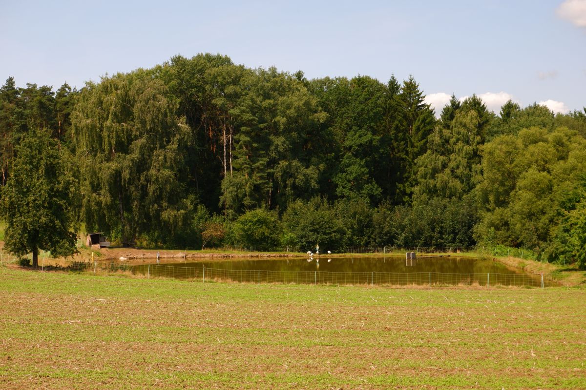 Von Kleinwinklarn auf den Steinbühl Von Kleinwinklarn auf den Steinbühl