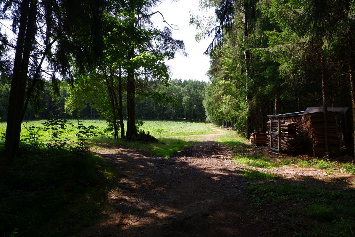 Von Kleinwinklarn auf den Steinbühl Von Kleinwinklarn auf den Steinbühl