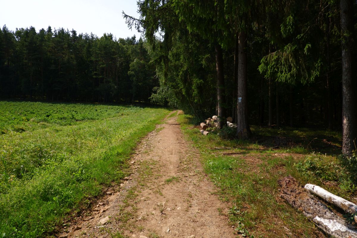 Von Kleinwinklarn auf den Steinbühl Von Kleinwinklarn auf den Steinbühl
