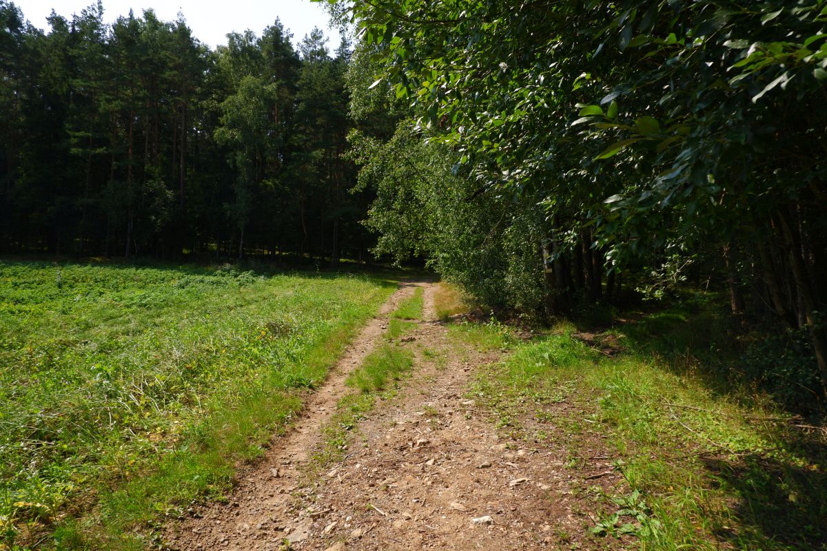 Von Kleinwinklarn auf den Steinbühl Von Kleinwinklarn auf den Steinbühl