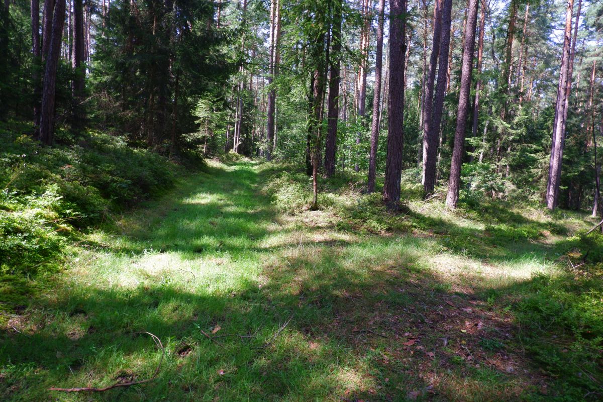 Von Kleinwinklarn auf den Steinbühl Von Kleinwinklarn auf den Steinbühl