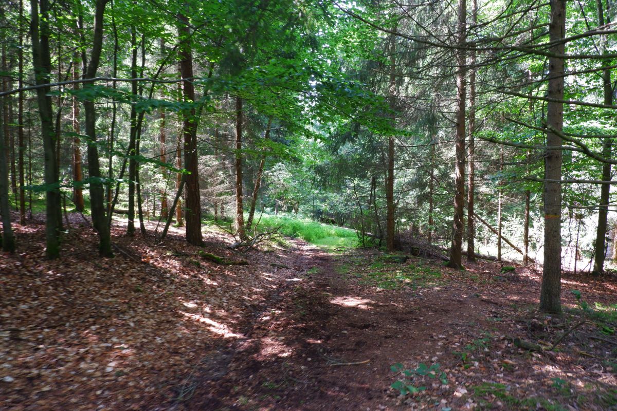 Von Kleinwinklarn auf den Steinbühl Von Kleinwinklarn auf den Steinbühl