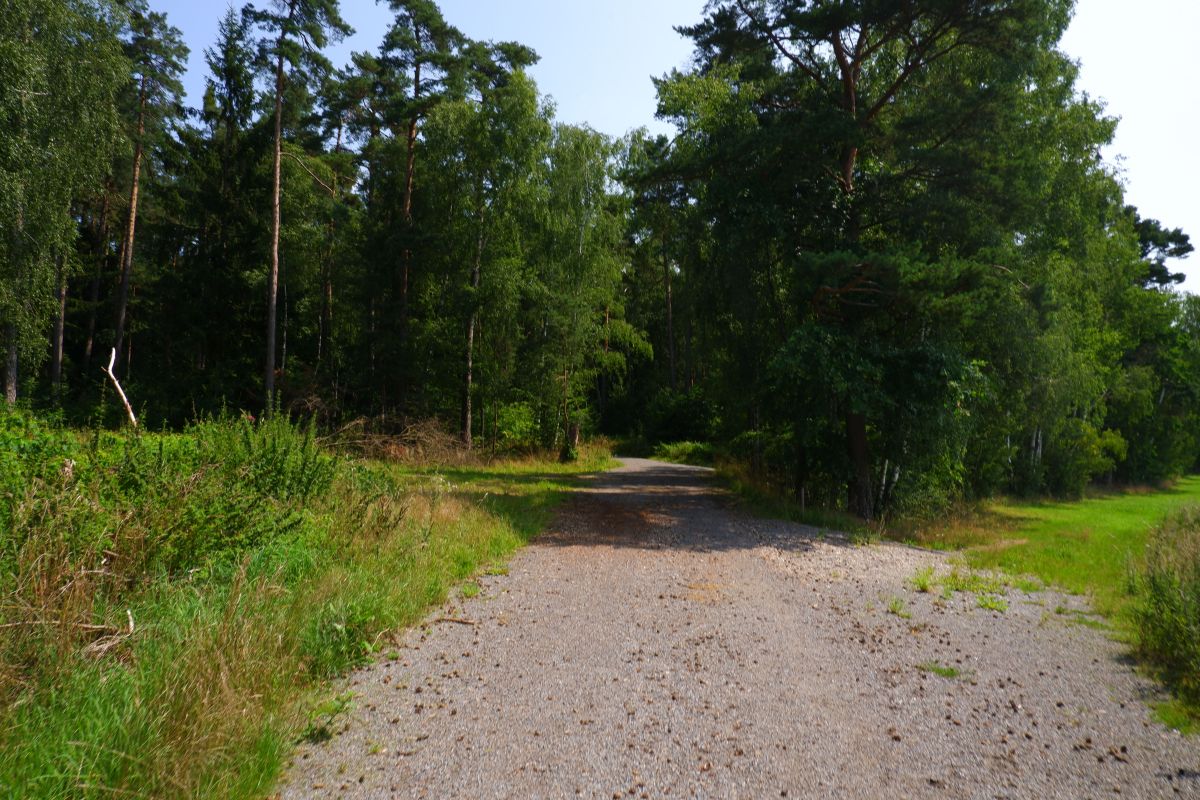 Von Kleinwinklarn auf den Steinbühl Von Kleinwinklarn auf den Steinbühl