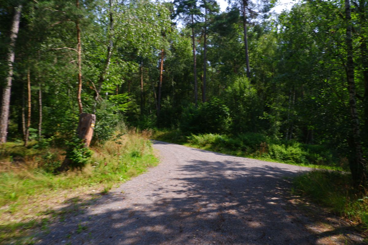 Von Kleinwinklarn auf den Steinbühl Von Kleinwinklarn auf den Steinbühl