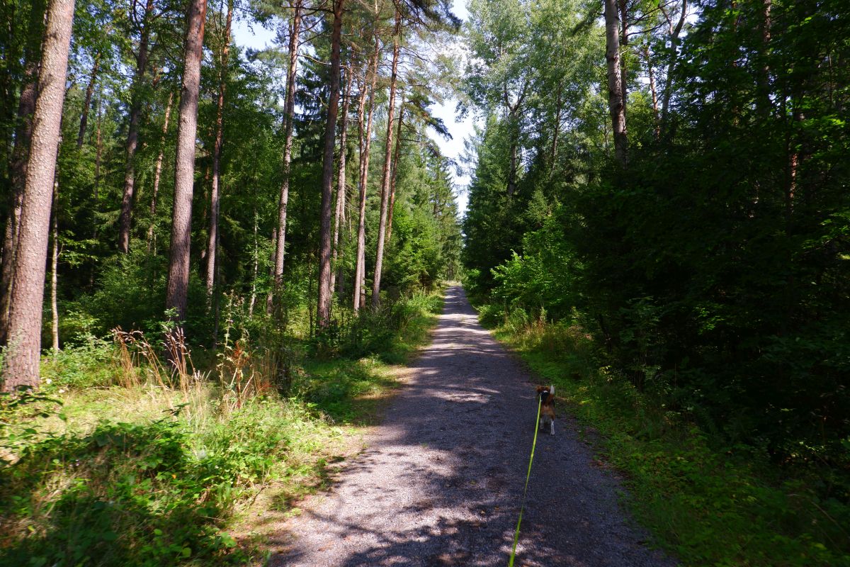 Von Kleinwinklarn auf den Steinbühl Von Kleinwinklarn auf den Steinbühl