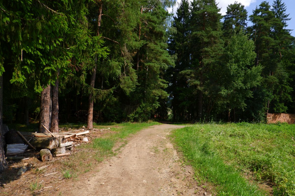 Von Kleinwinklarn auf den Steinbühl Von Kleinwinklarn auf den Steinbühl