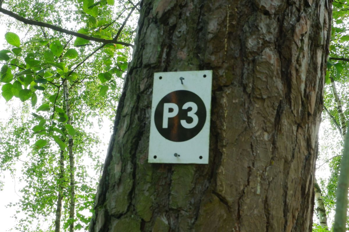 P3 - Steinbühl P3 - Steinbühl