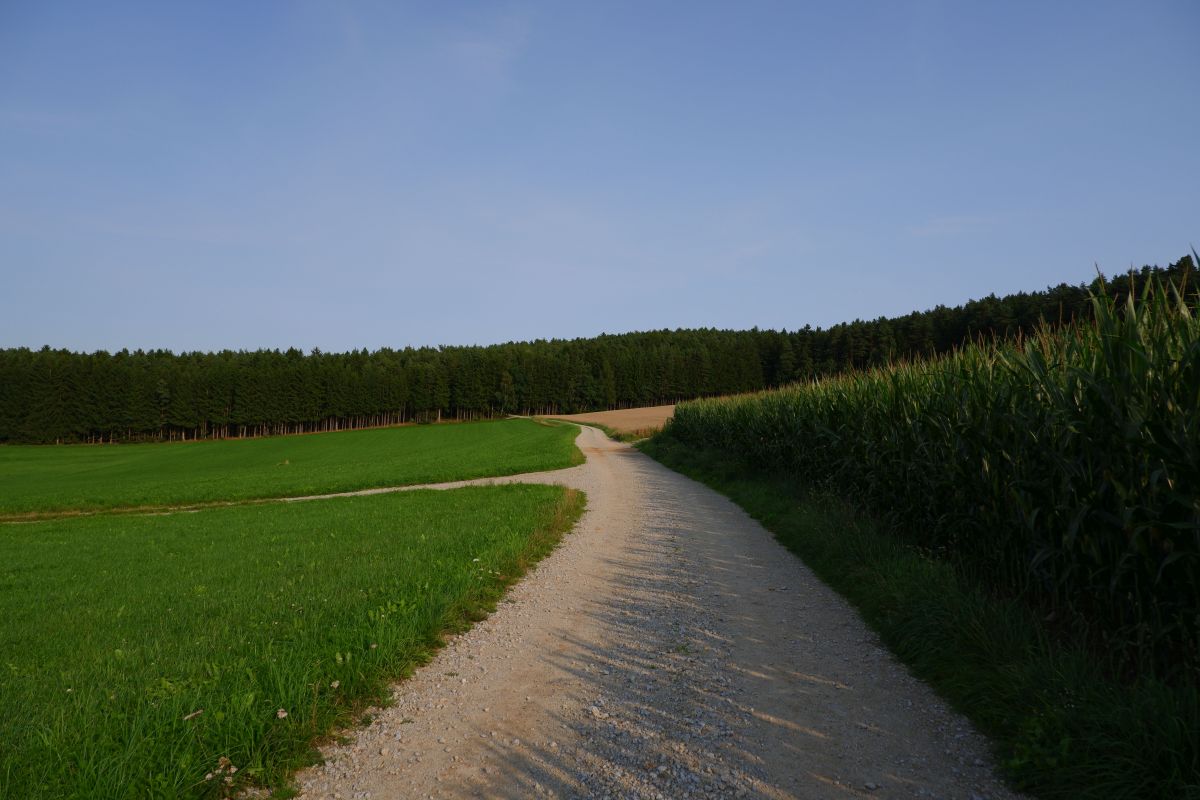 P3 - Steinbühl P3 - Steinbühl