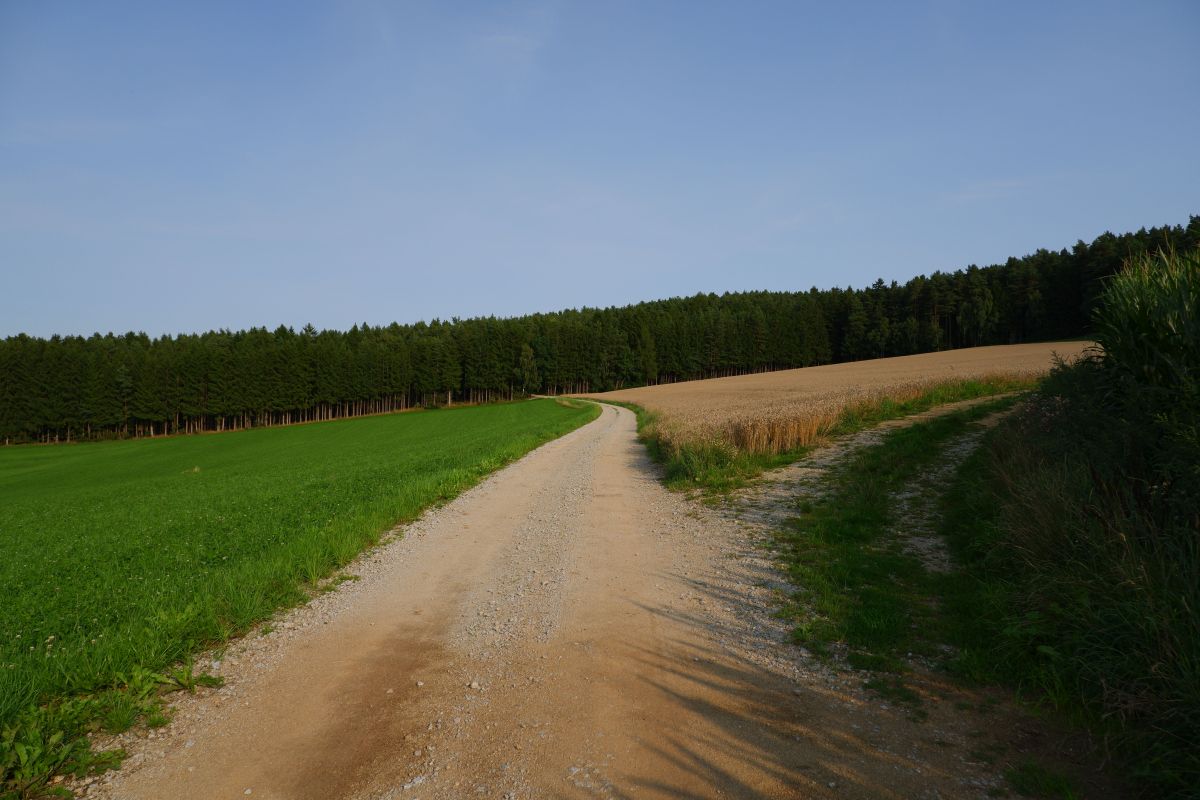 P3 - Steinbühl P3 - Steinbühl