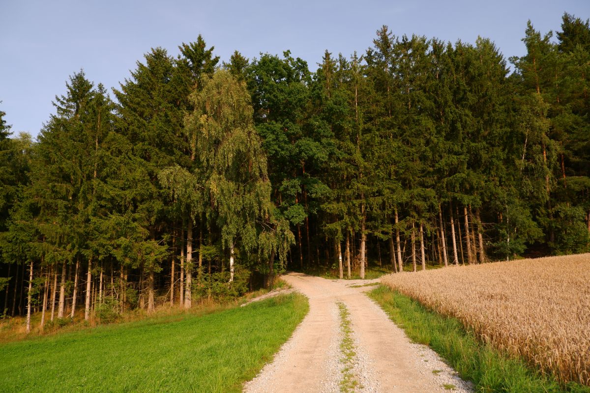 P3 - Steinbühl P3 - Steinbühl