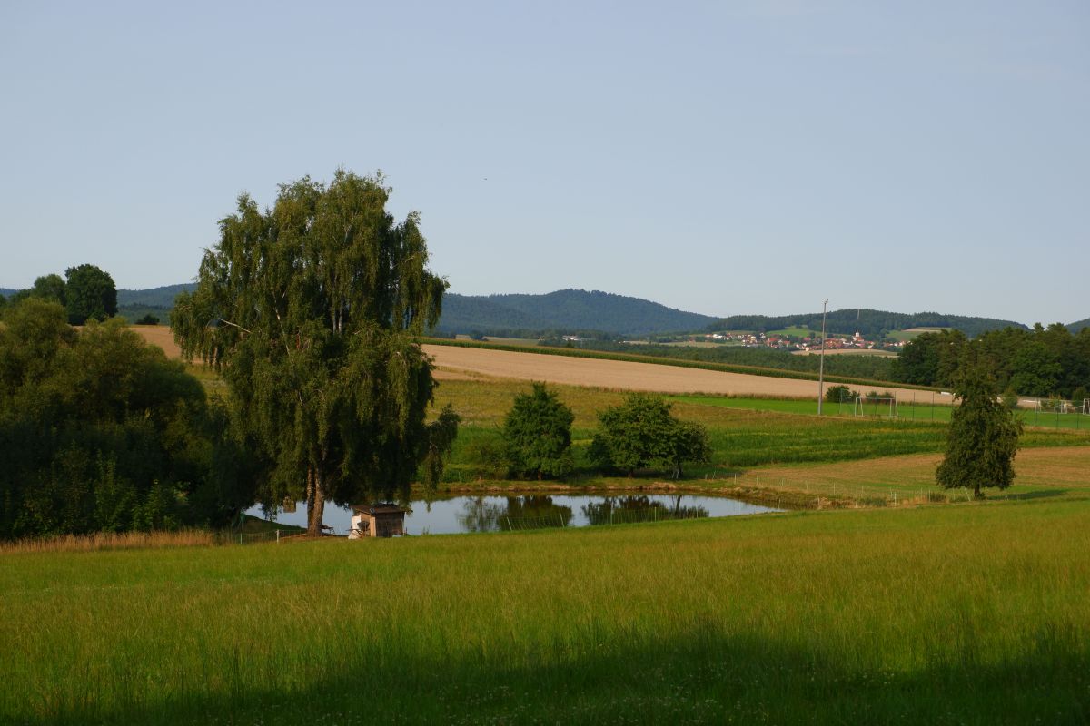 P3 - Steinbühl P3 - Steinbühl