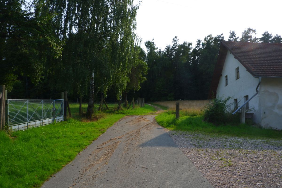 P3 - Steinbühl P3 - Steinbühl