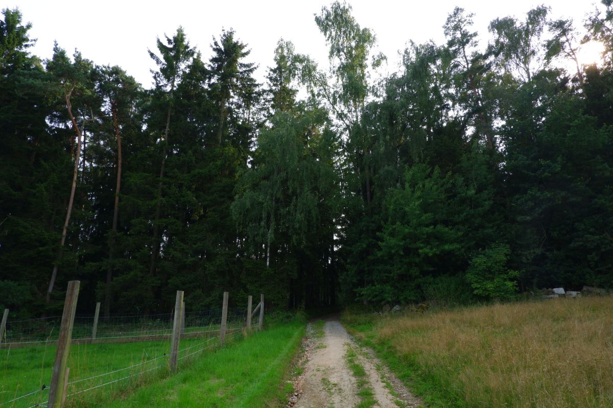 P3 - Steinbühl P3 - Steinbühl