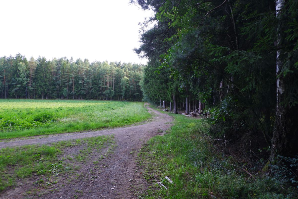 P3 - Steinbühl P3 - Steinbühl