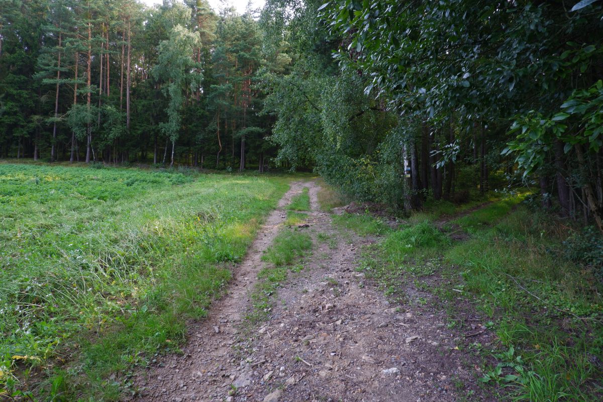 P3 - Steinbühl P3 - Steinbühl