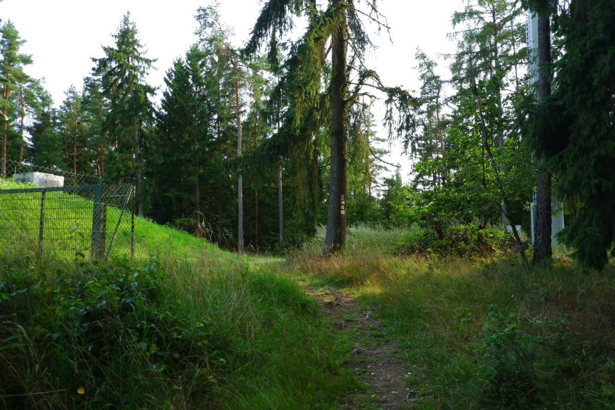 P3 - Steinbühl P3 - Steinbühl