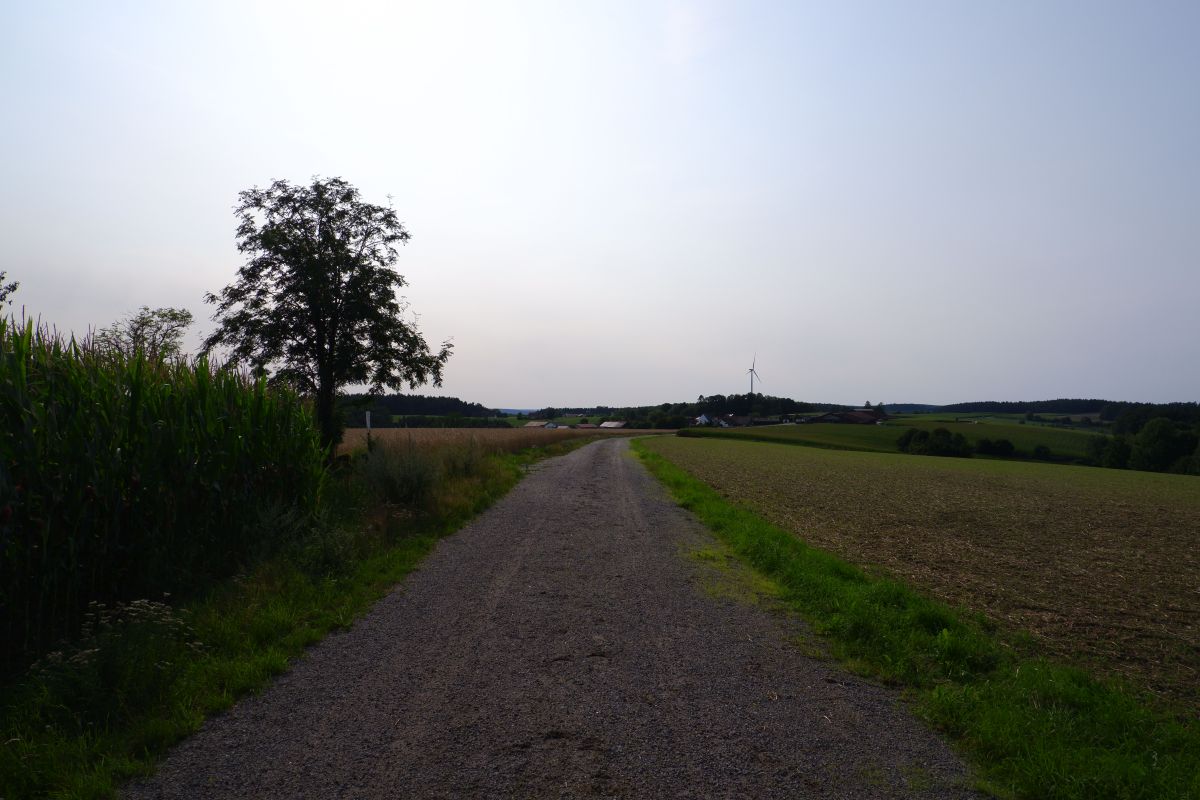 P3 - Steinbühl P3 - Steinbühl