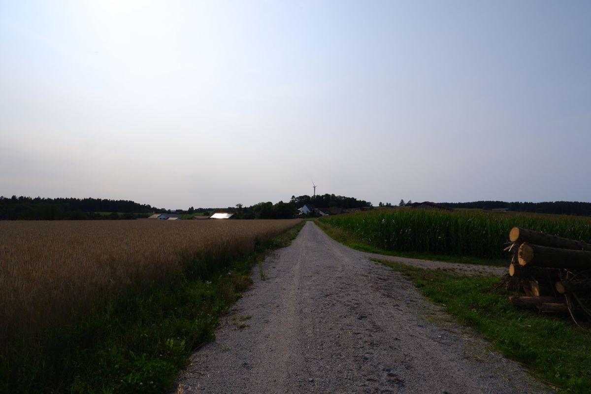 P3 - Steinbühl P3 - Steinbühl