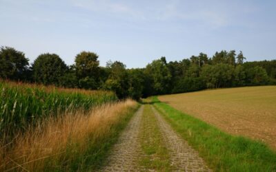 Der Wanderweg P3 – Steinbühl in Poggersdorf