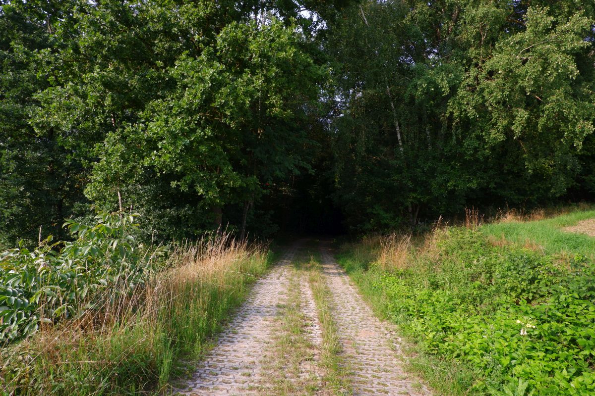 P3 - Steinbühl P3 - Steinbühl