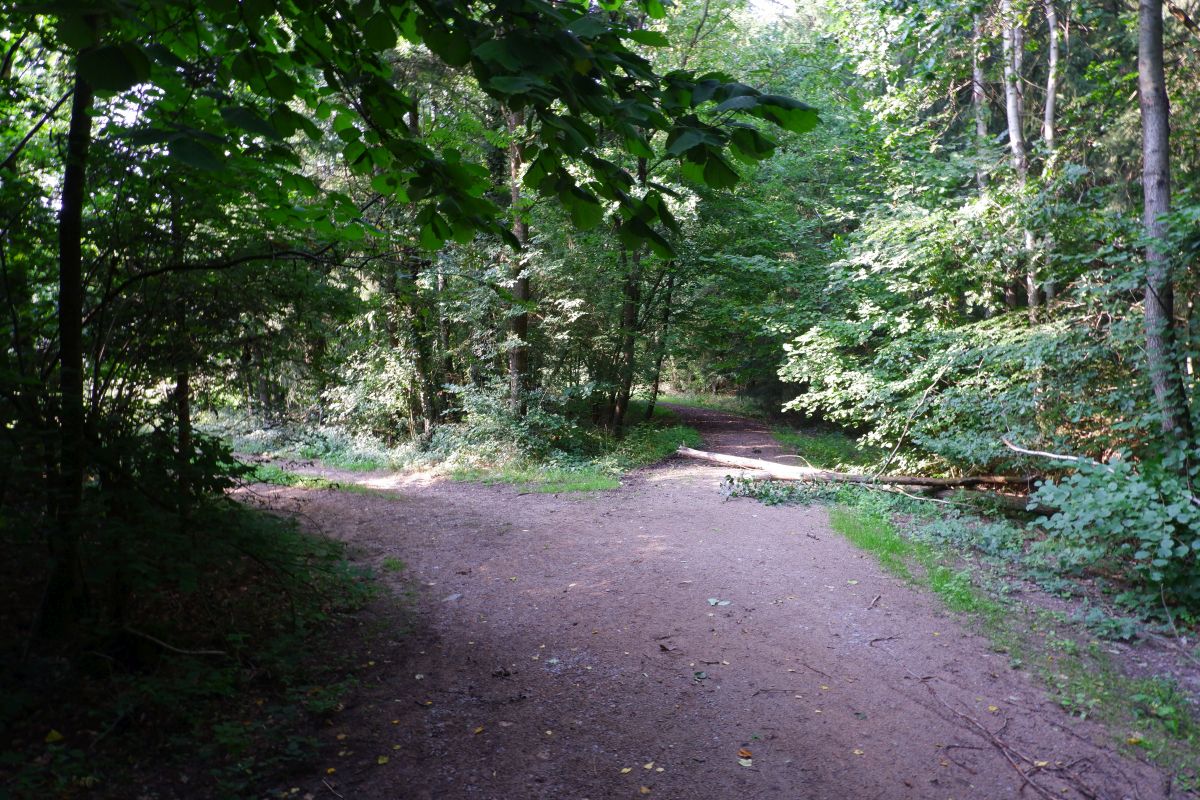 P3 - Steinbühl P3 - Steinbühl