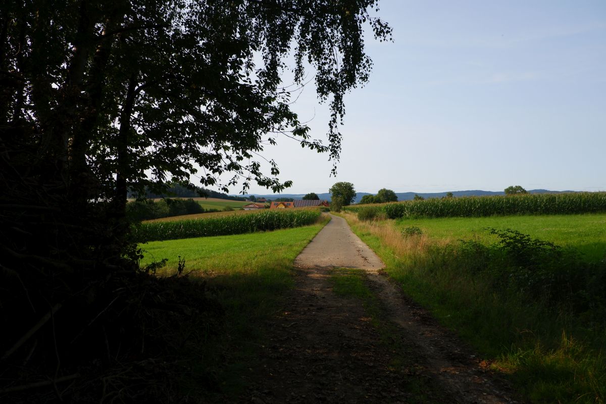 P3 - Steinbühl P3 - Steinbühl