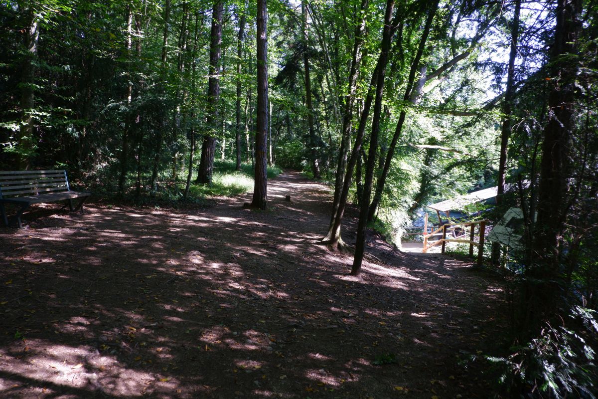 "Tut gut!"-Wanderweg Purgstall an der Erlauf - Route 1 / Laufrunde Praterstegrunde "Tut gut!"-Wanderweg Purgstall an der Erlauf - Route 1 / Laufrunde Praterstegrunde