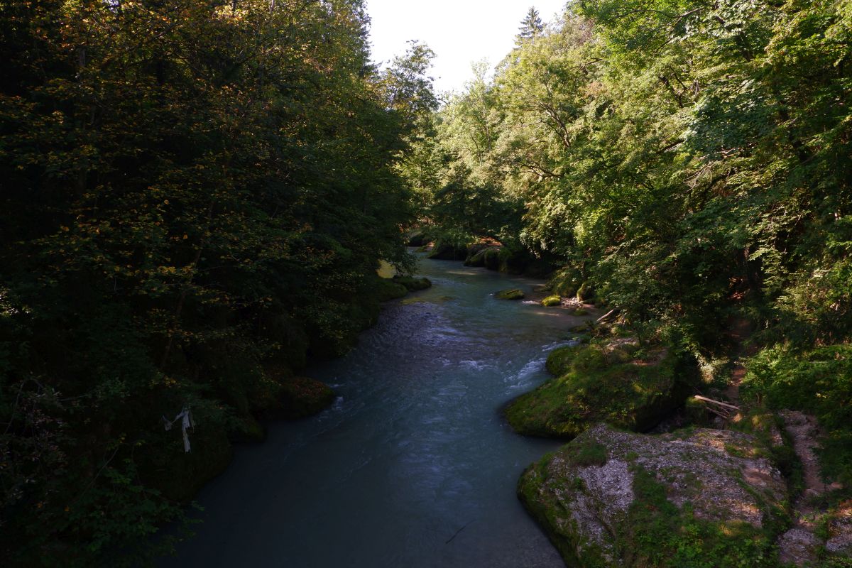 "Tut gut!"-Wanderweg Purgstall an der Erlauf - Route 1 / Laufrunde Praterstegrunde "Tut gut!"-Wanderweg Purgstall an der Erlauf - Route 1 / Laufrunde Praterstegrunde