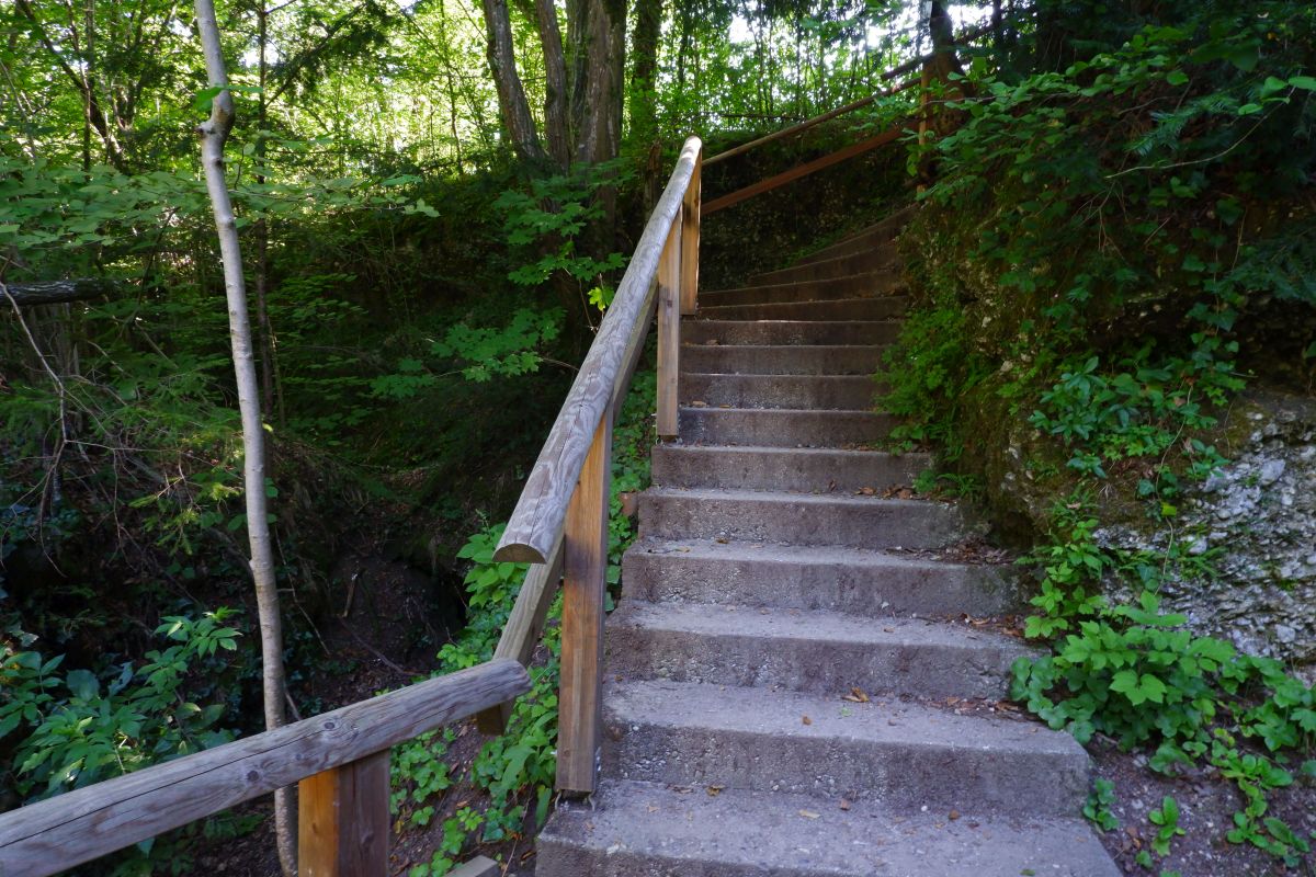 "Tut gut!"-Wanderweg Purgstall an der Erlauf - Route 1 / Laufrunde Praterstegrunde "Tut gut!"-Wanderweg Purgstall an der Erlauf - Route 1 / Laufrunde Praterstegrunde