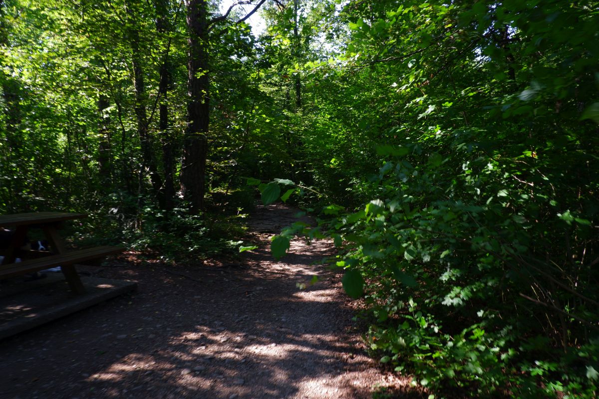 "Tut gut!"-Wanderweg Purgstall an der Erlauf - Route 1 / Laufrunde Praterstegrunde "Tut gut!"-Wanderweg Purgstall an der Erlauf - Route 1 / Laufrunde Praterstegrunde