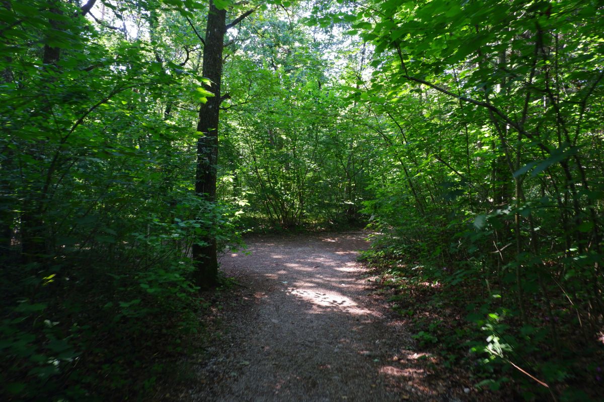 "Tut gut!"-Wanderweg Purgstall an der Erlauf - Route 1 / Laufrunde Praterstegrunde "Tut gut!"-Wanderweg Purgstall an der Erlauf - Route 1 / Laufrunde Praterstegrunde