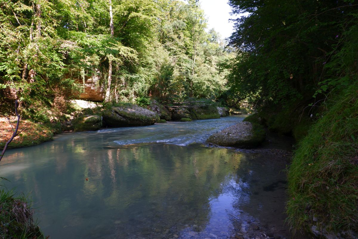 "Tut gut!"-Wanderweg Purgstall an der Erlauf - Route 1 / Laufrunde Praterstegrunde "Tut gut!"-Wanderweg Purgstall an der Erlauf - Route 1 / Laufrunde Praterstegrunde