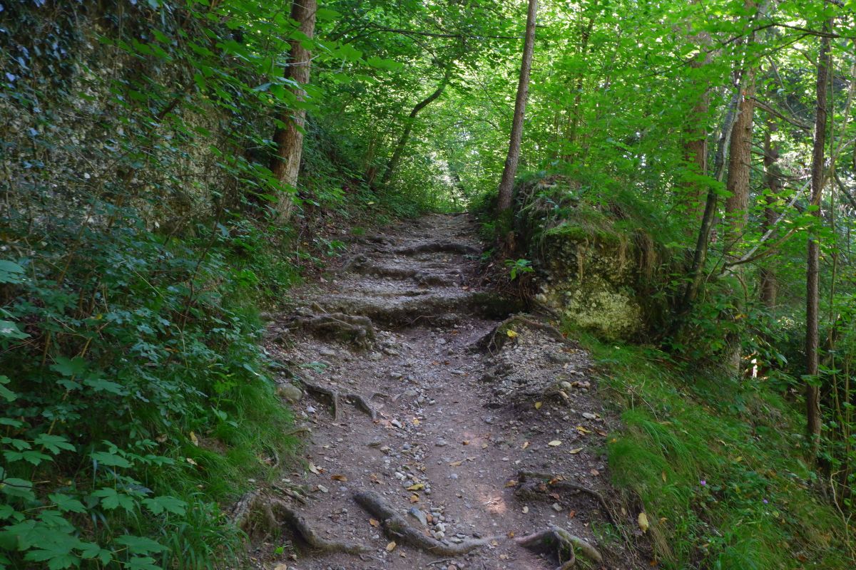 "Tut gut!"-Wanderweg Purgstall an der Erlauf - Route 1 / Laufrunde Praterstegrunde "Tut gut!"-Wanderweg Purgstall an der Erlauf - Route 1 / Laufrunde Praterstegrunde