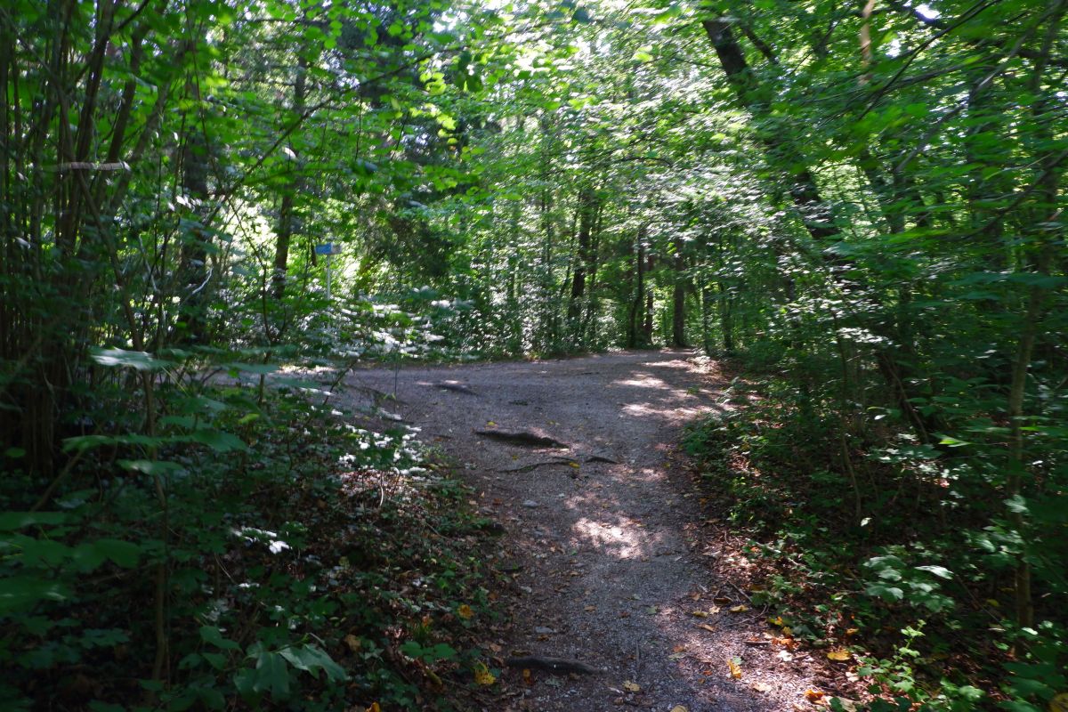 "Tut gut!"-Wanderweg Purgstall an der Erlauf - Route 1 / Laufrunde Praterstegrunde "Tut gut!"-Wanderweg Purgstall an der Erlauf - Route 1 / Laufrunde Praterstegrunde