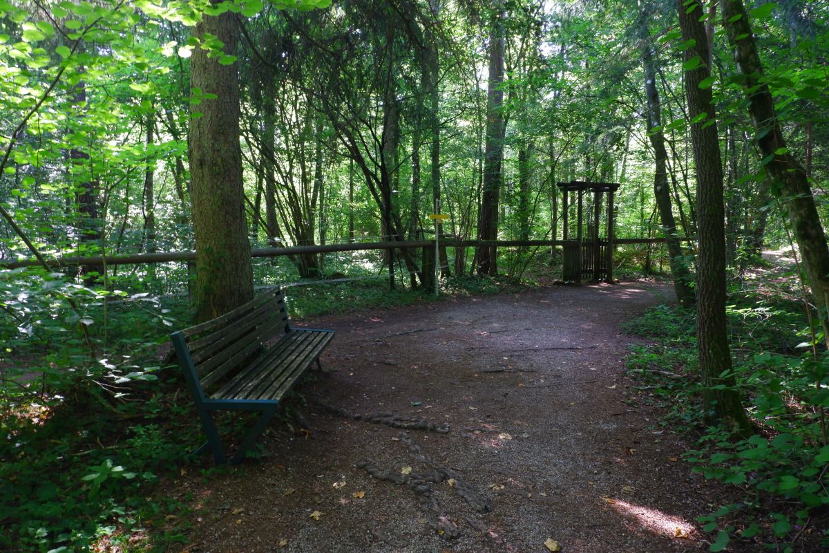 "Tut gut!"-Wanderweg Purgstall an der Erlauf - Route 1 / Laufrunde Praterstegrunde "Tut gut!"-Wanderweg Purgstall an der Erlauf - Route 1 / Laufrunde Praterstegrunde
