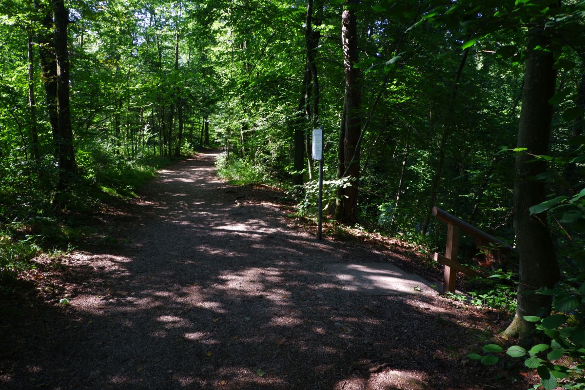"Tut gut!"-Wanderweg Purgstall an der Erlauf - Route 1 / Laufrunde Praterstegrunde "Tut gut!"-Wanderweg Purgstall an der Erlauf - Route 1 / Laufrunde Praterstegrunde