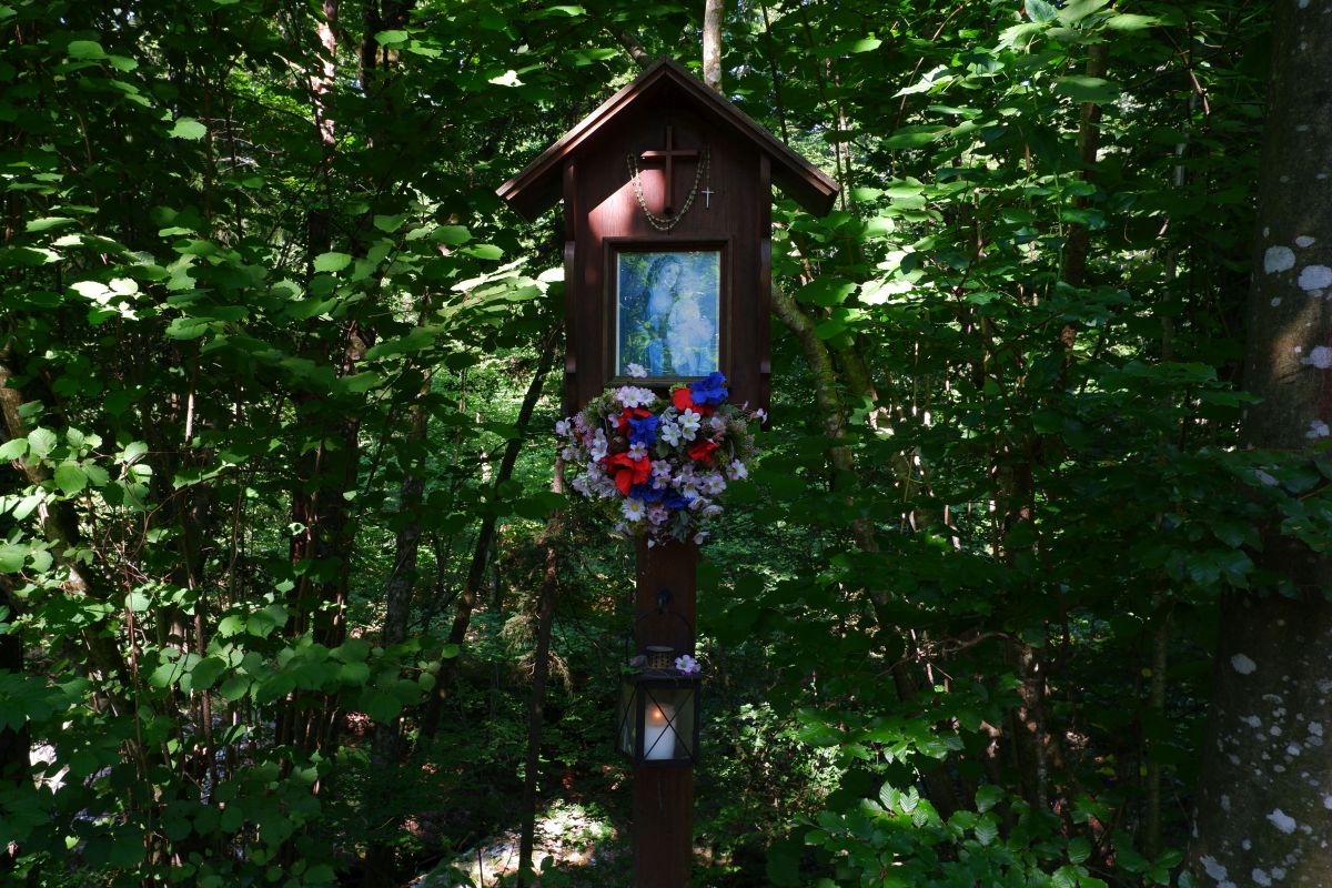 "Tut gut!"-Wanderweg Purgstall an der Erlauf - Route 1 / Laufrunde Praterstegrunde "Tut gut!"-Wanderweg Purgstall an der Erlauf - Route 1 / Laufrunde Praterstegrunde