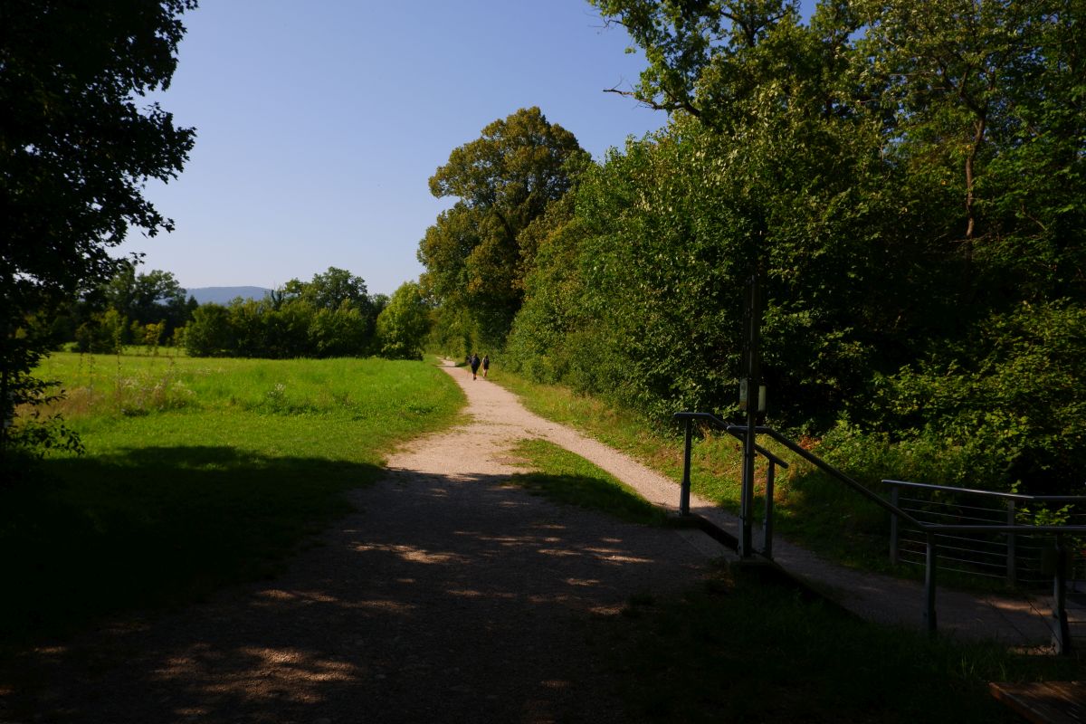 "Tut gut!"-Wanderweg Purgstall an der Erlauf - Route 1 / Laufrunde Praterstegrunde "Tut gut!"-Wanderweg Purgstall an der Erlauf - Route 1 / Laufrunde Praterstegrunde