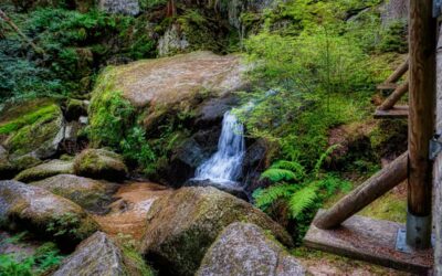 Der Teddybärentrail Lohnbachfall