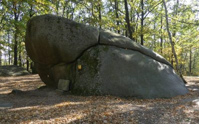 Der Naturpark Blockheide bei Gmünd – mehr als nur Wackelsteine