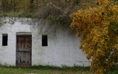 Unterwegs in Niederösterreichs größtem Freilichtmuseum