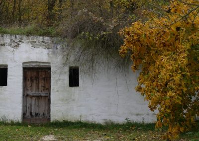 Unterwegs in Niederösterreichs größtem Freilichtmuseum