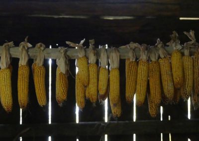 Unterwegs in Niederösterreichs größtem Freilichtmuseum