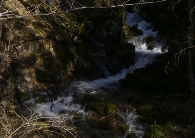 schwarzau09