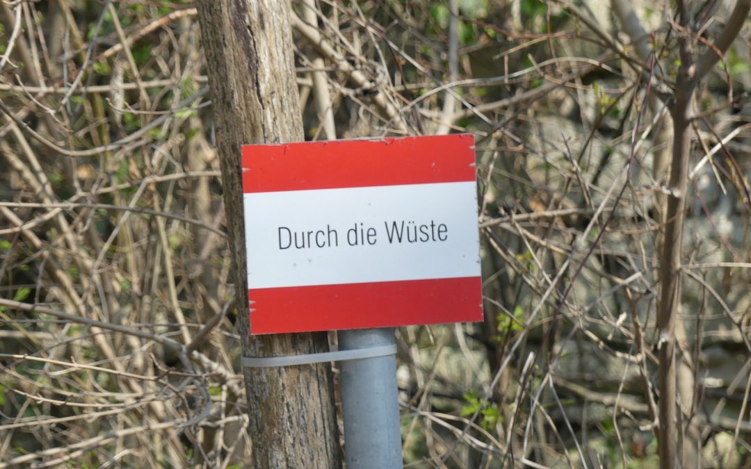 Eine gar nicht öde Wanderung durch die Wüste