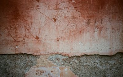 Fotografie und Malerei im Werk von Adolf Frohner
