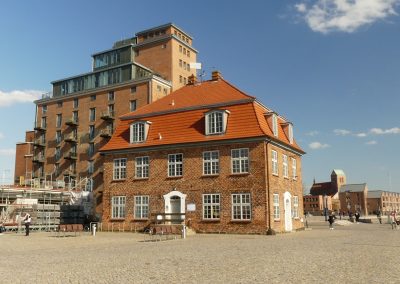 Neues Leben im alten Baumhaus