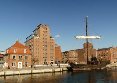 Neues Leben im alten Baumhaus