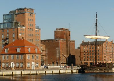 Neues Leben im alten Baumhaus