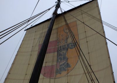 Neues Leben im alten Baumhaus